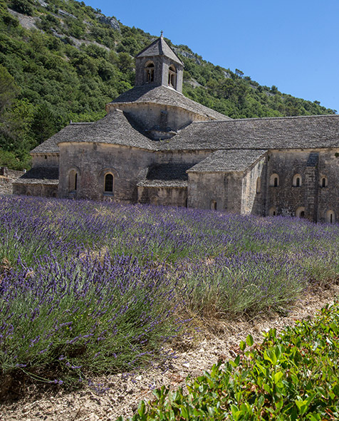 senanque